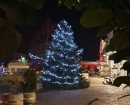 IMG-c5f2b6f30be46a7dc3d6e6ae5ac5ea07-V