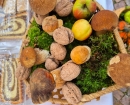 IMG-20241011-WA0047