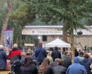 IMG-1bedc5bcc70e958d1feac7c0e1e51681-V