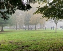 IMG-6a2898c21e7c7664ce8b4aec1faf903b-V