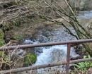 IMG-20241210-WA0005