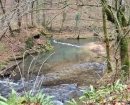 IMG-20241210-WA0006