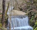 IMG-20241210-WA0008