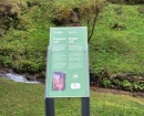 IMG-20241210-WA0009
