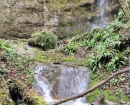 IMG-20241210-WA0011