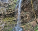 IMG-20241210-WA0012