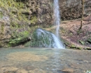 IMG-20241210-WA0013