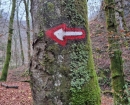 IMG-20241210-WA0014