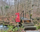 IMG-20241210-WA0018