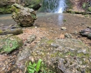 IMG-20241210-WA0022