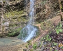 IMG-20241210-WA0023