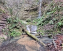 IMG-20241210-WA0024