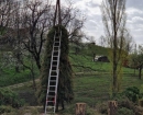 IMG-7179b482d731ab8088a6127b53f1c5e1-V