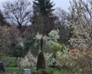 IMG-bfca91758b5a95730c7a9dd95136bf3d-V