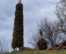 IMG-de035d857b618889114efe6f4a0eb174-V
