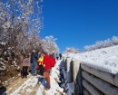 IMG-49c922ecd325c735ed627acfcad7ab25-V