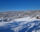 IMG-b60f73105d0b105c5e7e3fe5eceb349a-V