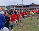 IMG-13845344a70e8d471a63c24e7a041a20-V