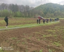 IMG-55691bdcbb62cc67bfee0ee995f77a6c-V